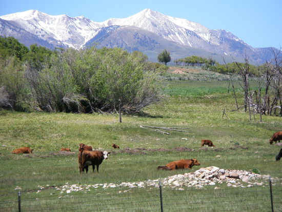 Rocky Mountains: wir sind wieder da.