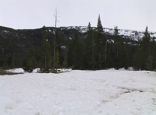 Schnee auch im Grand Teton NP, den wir auf der Fahrt zum Yellowstone NP aber "links liegen" ließen.