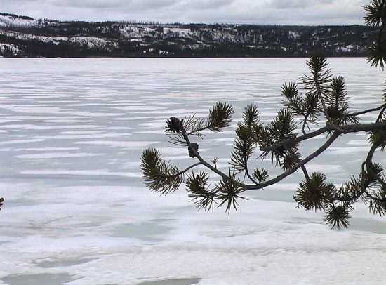 Der Yellowstone-See Ende Mai noch zugefroren.