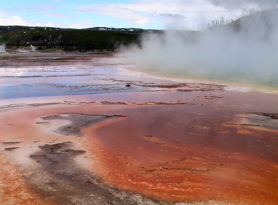 Alle Farben sind vertreten.