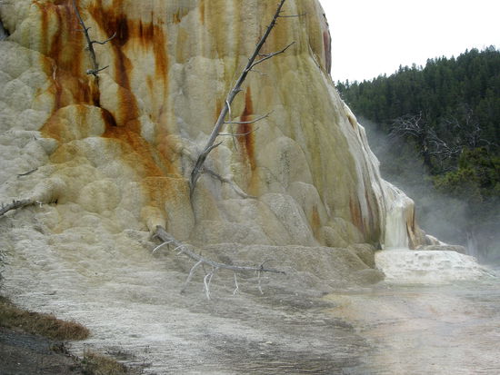Mammoth Hot Springs.