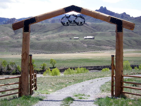 'Ranches - Cowboys - Cody naht.