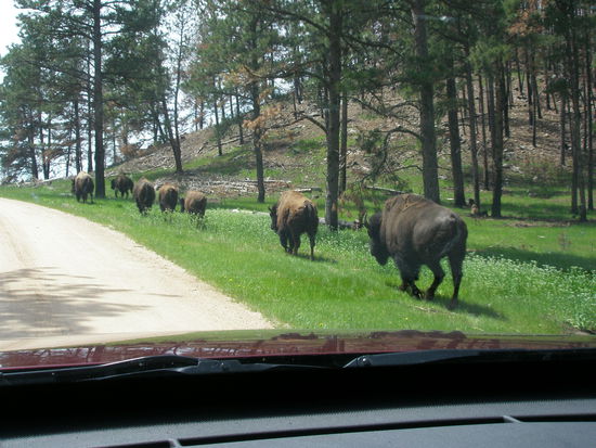 Ständige Wegbegleiter.