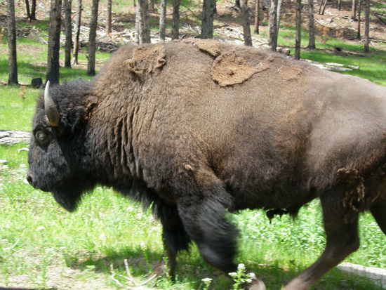 Gut, dass wir im Auto sitzen.