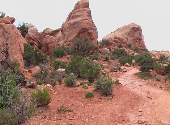 Der Rückweg über den Primitive Loop hatte es in sich.