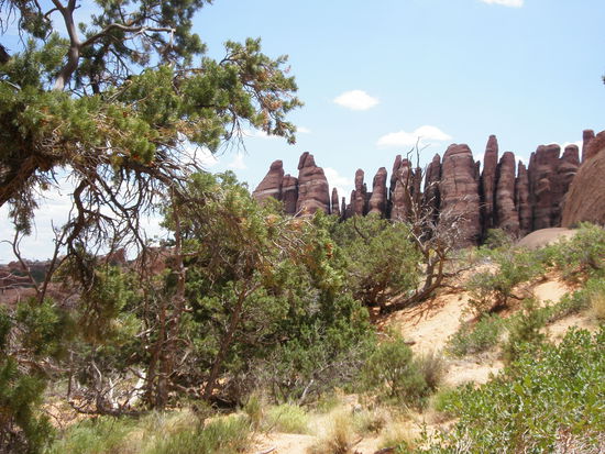 Faszinierende Formationen gab es auch beidseits des Primitve Loops.