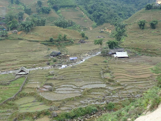 Es ist wunderschön hier- leider sind wir nach der Ernte gekommen und es sieht ein wenig abgegrast aus
