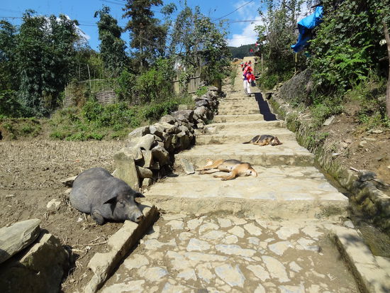 Wir sind etwa 500 Treppen gelaufen... für uns viel aber die Leute im Dorf machen das mehrmals im Tag.