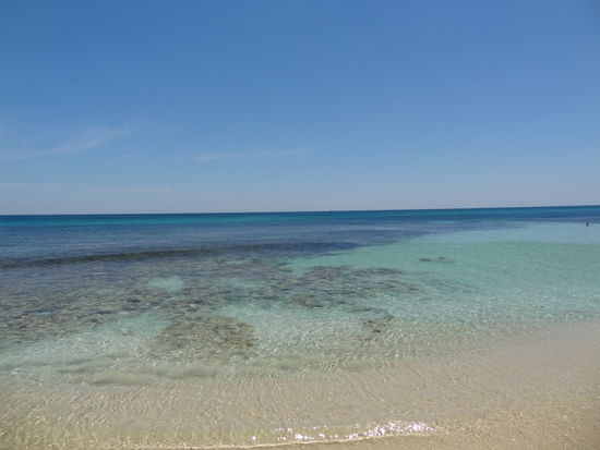 Am zweiten Tag sind wir an den Strand gegangen... der absolute Hammer... wir konnten es nicht fassen wir schön das Meer hier war und auch hier der Stand war so leer. Wir haben uns richtig wohl gefühlt. Cottesloe Beach ist ca. 30 Minuten von Perth Zentrum entfernt.