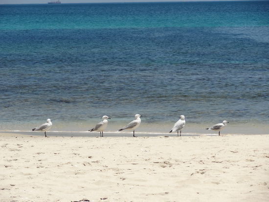 Still gestanden und Marsch !!!