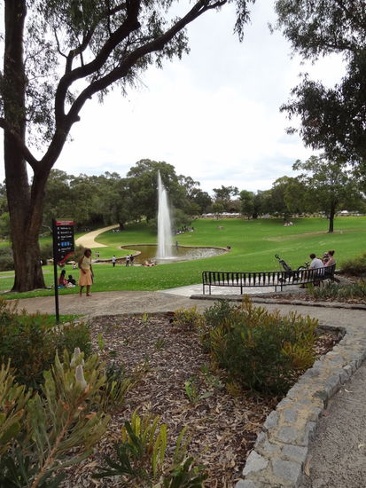 Der Kings-Park ist wirklich super schön, man sollte ihn nicht verpassen bei einem Besuch in Perth!  Cool ist auch das hier alle mit ihren Kühlboxen im Park liegen und das Wochenende geniessen- sogar öffentliche Grillplätze gibt es!