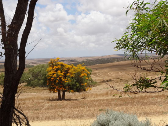 take a walk in the wildlife!