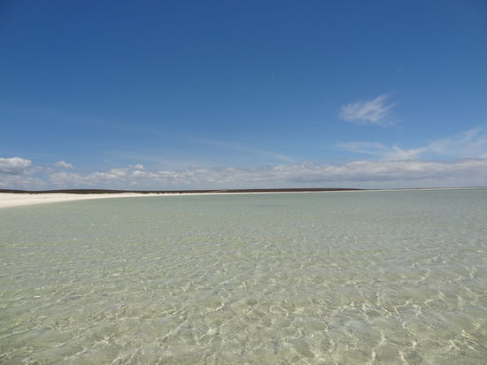 Shell beach besteht komplett aus Muscheln und ist einfach ein Traum. Wir haben 1-2 Stunden da gelegen nachher mussten wir leider wegen den Sonne weiter ziehen... Die Sonne brennt ganz schön hier in Australien und mann kann sich auch schnell ein Sonnenbrand holen sogar mit fleissig eincremen!