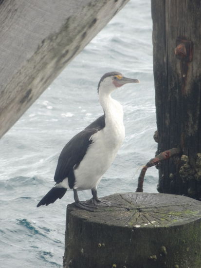 erster einer...........