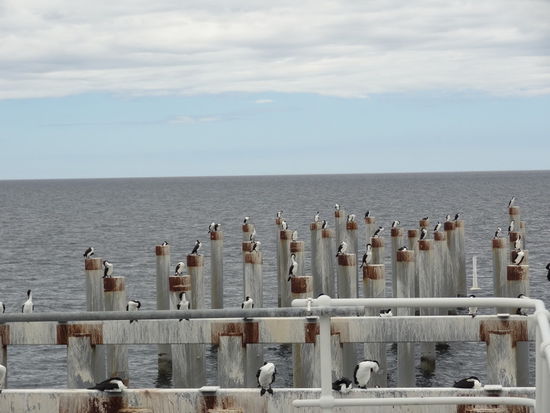 und dann die ganze Familie!