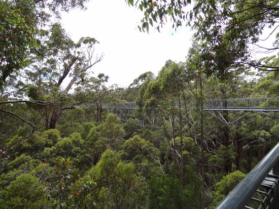 Hier ein Ausblick auf dem Weg... etwas wacklig aber hat viel Spass gemacht.