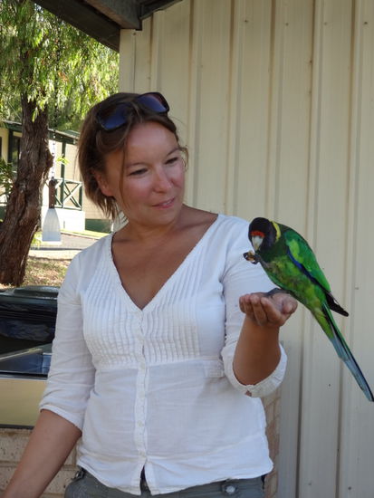 Auf dem Camping-Platz konnten wir sogar Papageien füttern.