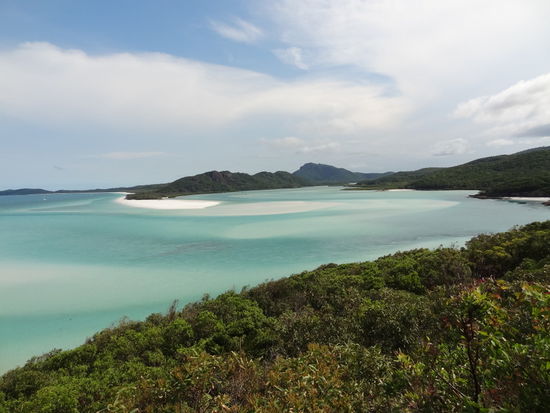 White Haven Beach... das muss einem im Leben gesehen haben. Leider sieht es auf dem Foto nur halb so gut aus wie in Wirklichkeit. Wir konnten ein paar Stunden da liegen und mit Lemon Sharks schwimmen, und sogar Stachelrochen und eine Wasserschlange haben wir gesehen. Baden geht übrigens nur mit Wetsuits, wegen dem Boxjellyfish die nur winzig klein sind aber echt gefährlich für den Mensch.