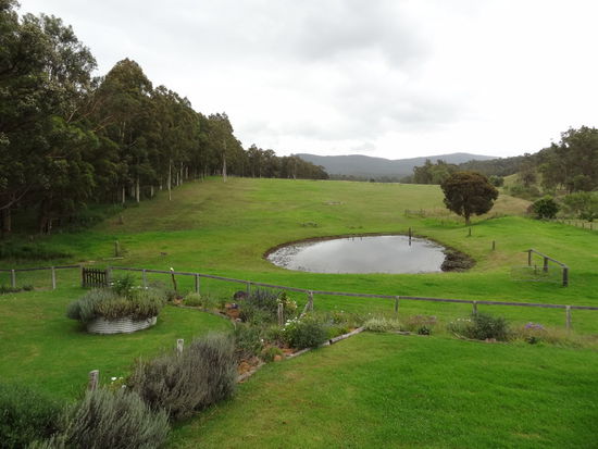 unser Ausblick - Natur pur