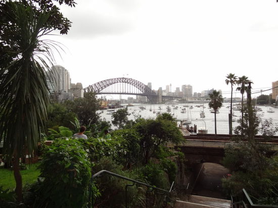 Am nächsten Tag sind wir von Milsons Point entlang dem River gelaufen. Man kann den Luna Vergnügungspark anschauen der noch uralte Bahnen hat. Später hatten wir einen wunderschönen Ausblick auf die Habour Bridge.