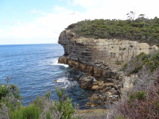 Auf den Weg nach Port Arthur gibt es ein par schöne Aussichtspunkte!