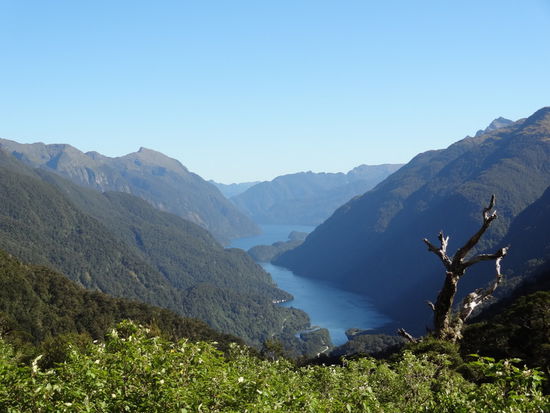 Der Ausblick auf Doubtful Sound!