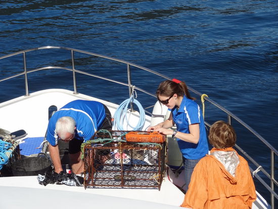 Leider war die Hummerfalle auch leer - wir konnten aber trotzdem welchen vom Vortag probieren