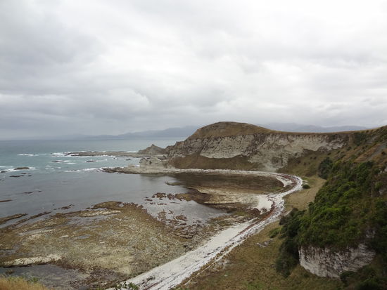 Es gibt viele Möglichkeiten zum Wandern, ein Walking Track führt die ganze Küste entlang (durch eine Kuhweide unter anderem ) ! Wir haben uns gefühlt wie in Irland