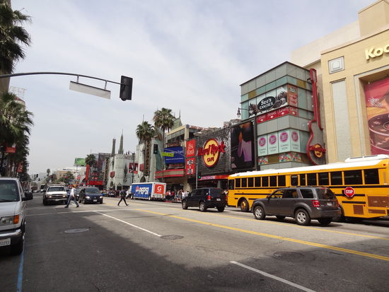 Hollywood, wir sind da !
Ehrlich gesagt waren wir sehr geschockt von L.A., denn auf der Fahrt vom Flughafen nach West Hollywood sieht man deutlich wie arm diese Stadt ist- echt erschreckend wenn man dann in Hollywood all das "bling bling" sieht.