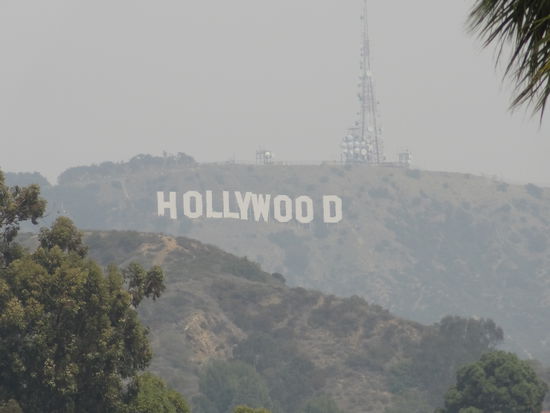 Hollywood im Nebel........