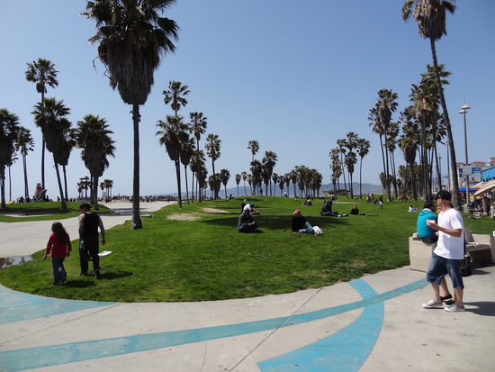Venice Beach