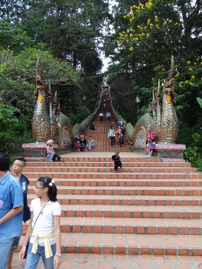 diese Stufen mussten wir dann noch alle rauf