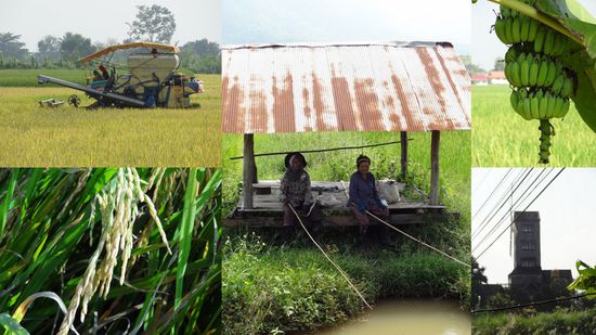 Eindrücke von unserer Tour. Die Natur ist wunderschön rund um Chiang Rai