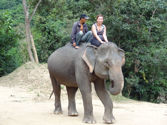 Die ersten Schritte: Leider beim Absteigen vom Elefant gefallen 
Kommentar von Marcel: Dem Elefanten geht es gut