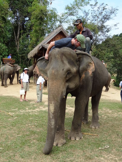 Beim Aufstieg hat man Angst das das Ohr vom Elefanten abreist.