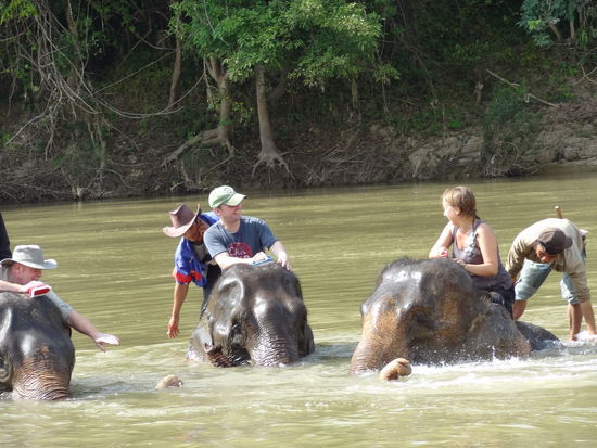 Beim Elefanten baden hatten wir viel Spass aber die Elefanten noch mehr. Wir wissen nicht wer am Schluss nasser war....