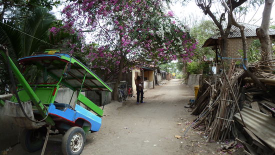 Pferdekutsche und Fahrrad sind die einzigen Verkehrsmittel auf den Gilis