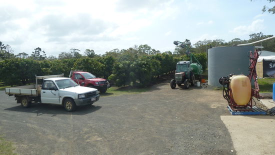 Auf der Farm wachsen Mangoes, Lychis, Passionsfrucht, Tomaten, Kürbisse, Ananas und Avocados. Und alles Biologisch