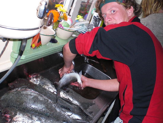 filletieren von kahawai den Dan in der see gefangen hat!