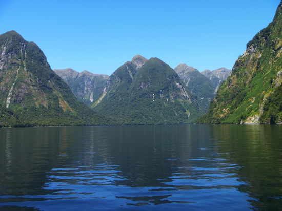 Doubtfulsound ist eigendlich ein Fiord weil diese Schluchten durch Gletscher entstanden sind!