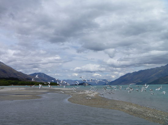 Glenorchy