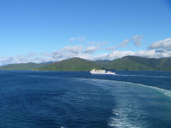 Mit der Fähre durch die Malbourght Sounds, wunderschön!