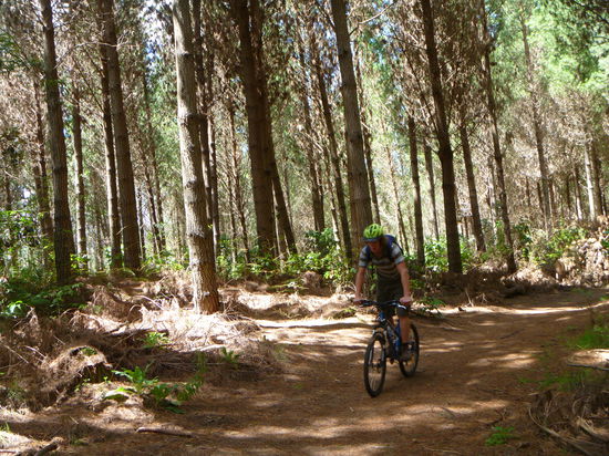 Mountainbikeing in Taupo
