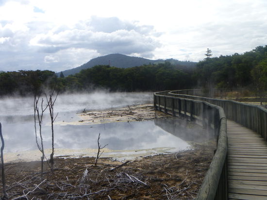 Rotorua ist berühmt für seine Vulkanischen Aktivitäten