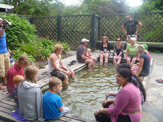 Heisse Quellen in Rotorua