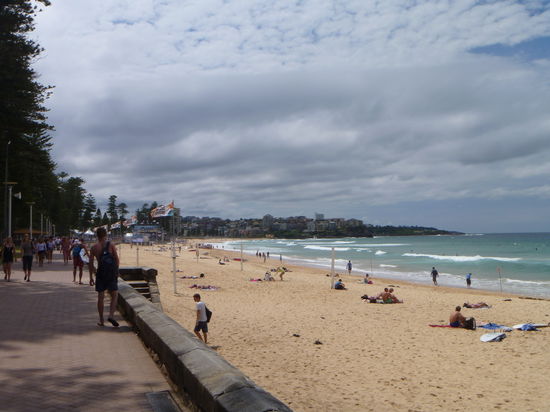 Auf Manly beach haben wir uns einen Surfwettbewerb angeschaut!
