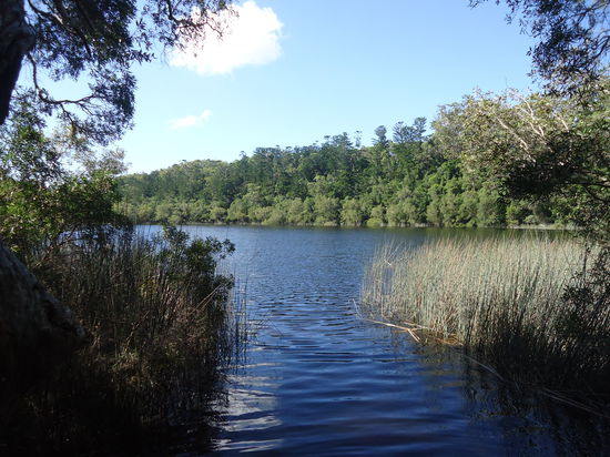 Lake Allom, mein lieblings platz auf fraser