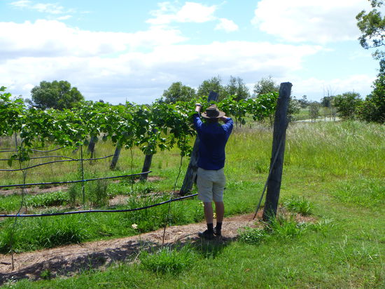 Gunther bei der Arbeit