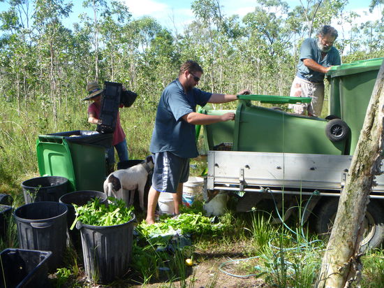 Vom Supermarkt bekommt Rob immer den Abfall. Wir sortierten es und fütterten danach die Tiere