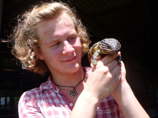 und auch seine Eidechsensammlung